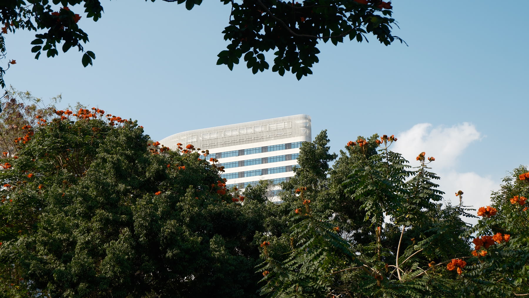 Cover 2
